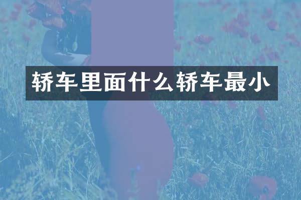 轿车里面什么轿车最小