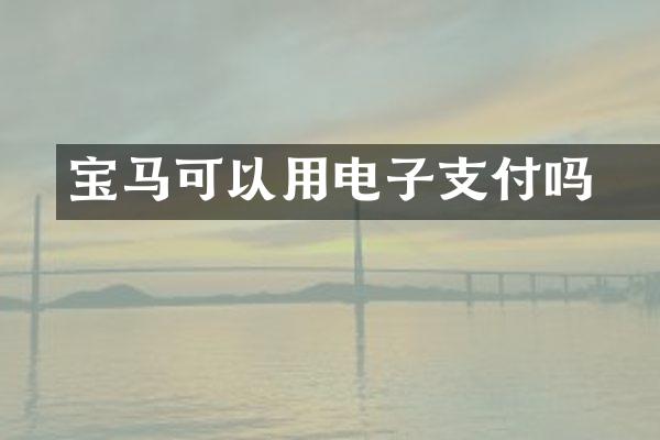宝马可以用电子劵支付吗
