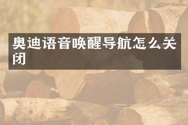 奥迪语音唤醒导航怎么关闭