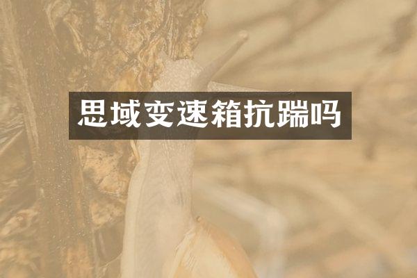 思域变速箱抗踹吗