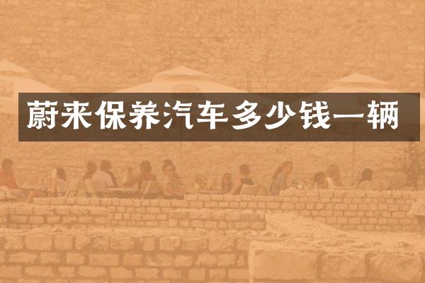 蔚来保养汽车多少钱一辆