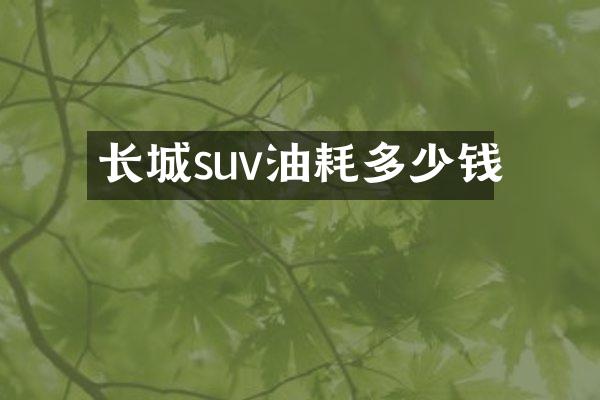 长城suv油耗多少钱