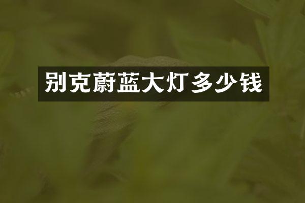别克蔚蓝大灯多少钱