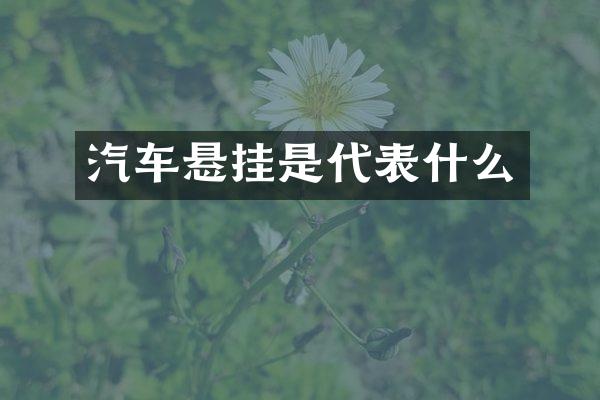 汽车悬挂是代表什么