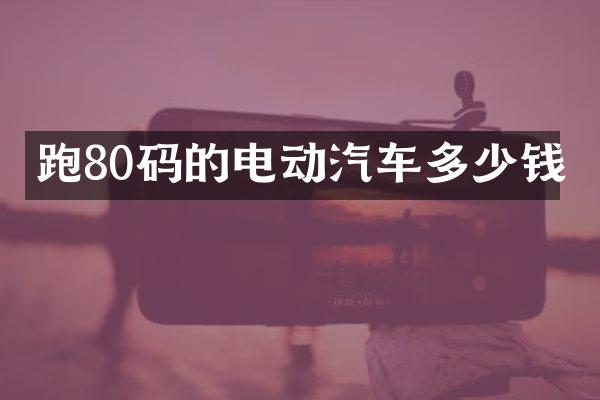 跑80码的电动汽车多少钱