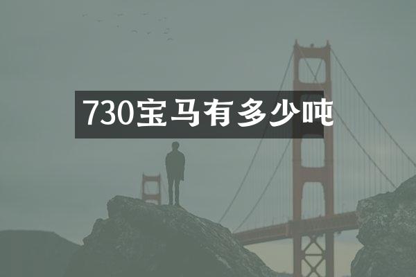 730宝马有多少吨