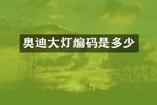奥迪大灯编码是多少