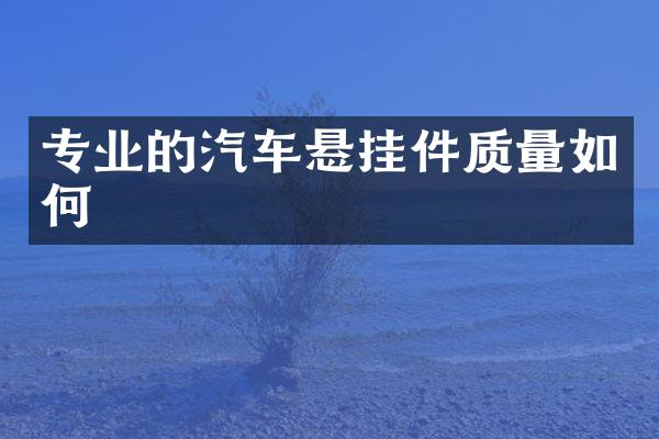 专业的汽车悬挂件质量如何