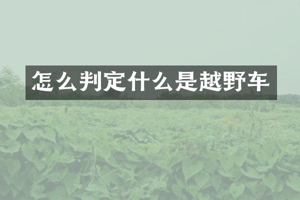怎么判定什么是越野车