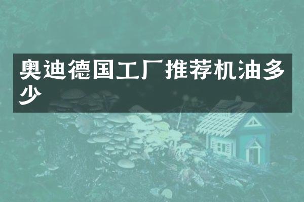 奥迪德国工厂推荐机油多少