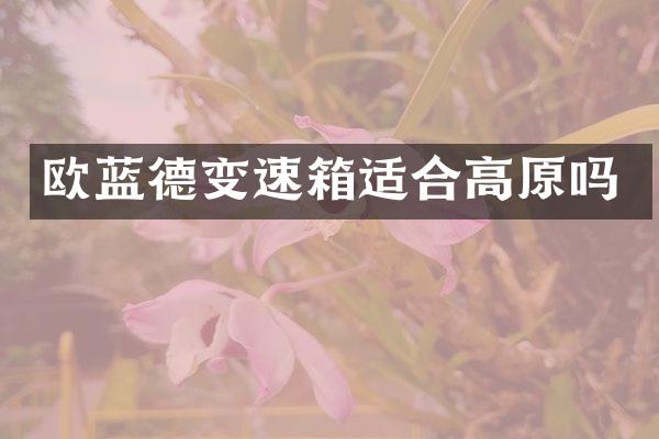 欧蓝德变速箱适合高原吗