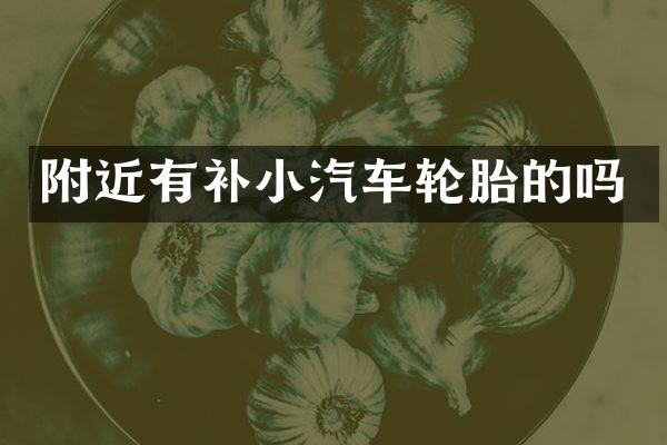 附近有补小汽车轮胎的吗