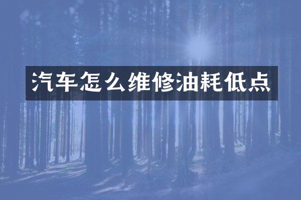 汽车怎么维修油耗低点