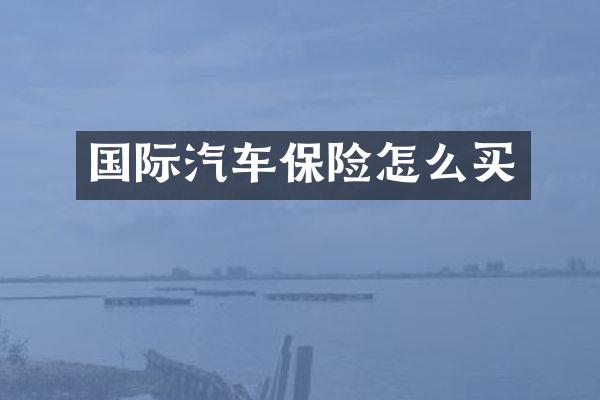 国际汽车保险怎么买