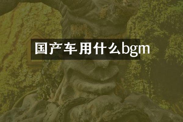国产车用什么bgm