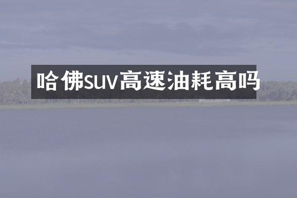 哈佛suv高速油耗高吗