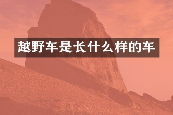 越野车是长什么样的车