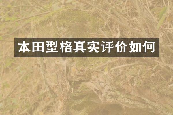 本田型格真实评价如何