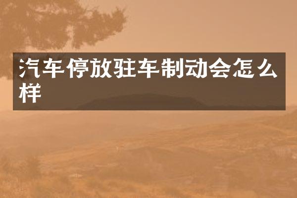 汽车停放驻车制动会怎么样