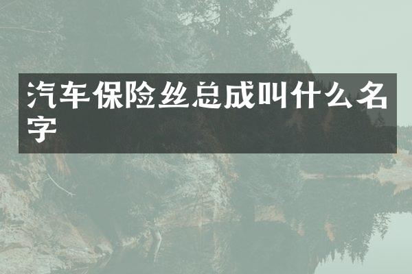 汽车保险丝总成叫什么名字