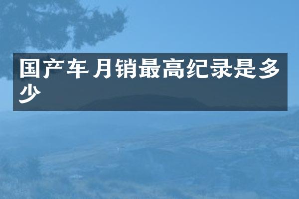 国产车月销最高纪录是多少