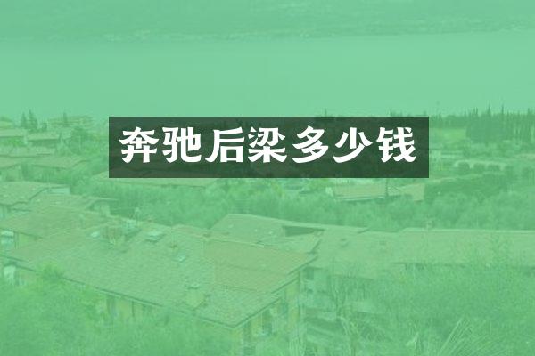 奔驰后梁多少钱