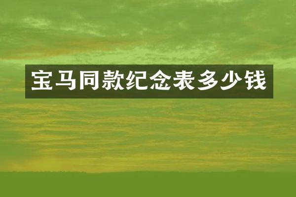 宝马同款纪念表多少钱