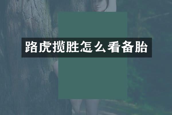 路虎揽胜怎么看备胎