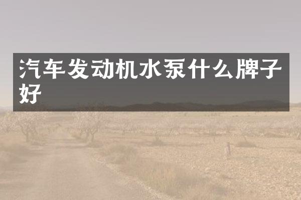 汽车发动机水泵什么牌子好