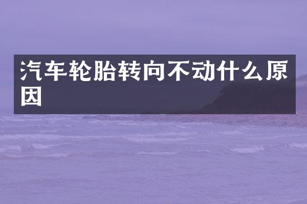 汽车轮胎转向不动什么原因