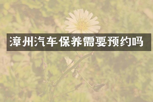 漳州汽车保养需要预约吗
