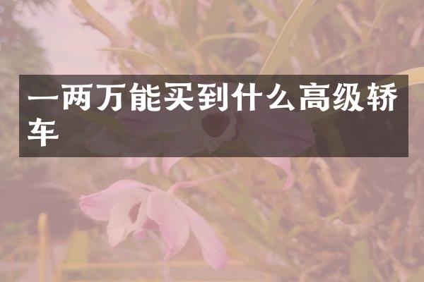 一两万能买到什么高级轿车