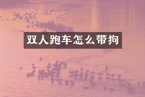 双人跑车怎么带狗