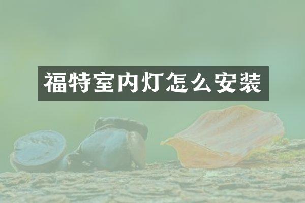 福特室内灯怎么安装