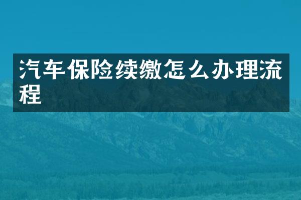 汽车保险续缴怎么办理流程