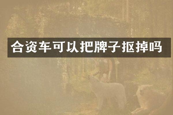 合资车可以把牌子抠掉吗