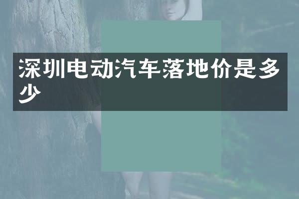 深圳电动汽车落地价是多少
