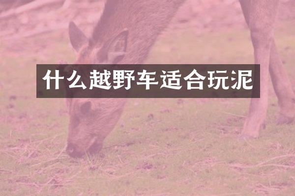 什么越野车适合玩泥