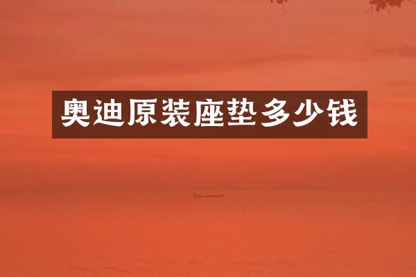 奥迪原装座垫多少钱
