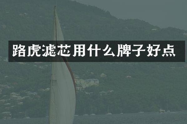 路虎滤芯用什么牌子好点