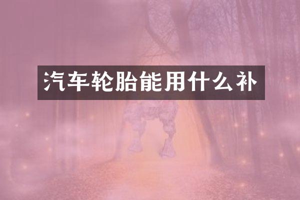 汽车轮胎能用什么补