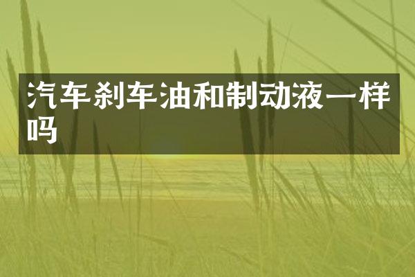 汽车刹车油和制动液一样吗