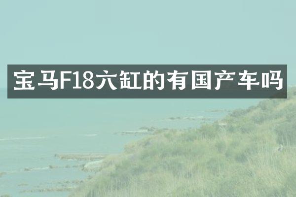 宝马F18六缸的有国产车吗