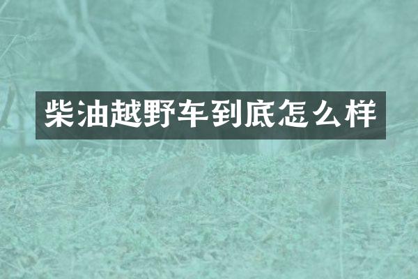 柴油越野车到底怎么样