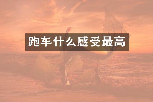 跑车什么感受最高