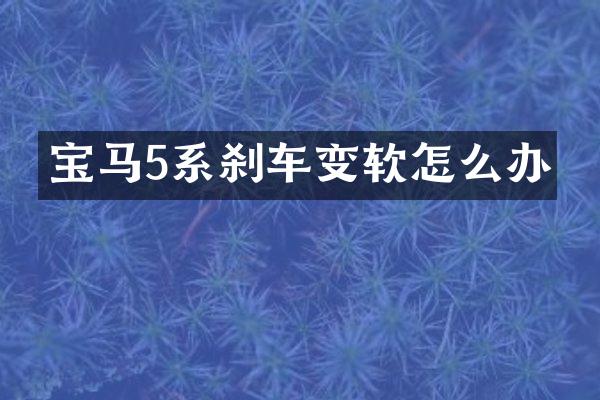 宝马5系刹车变软怎么办