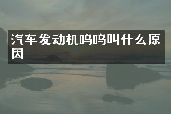 汽车发动机呜呜叫什么原因