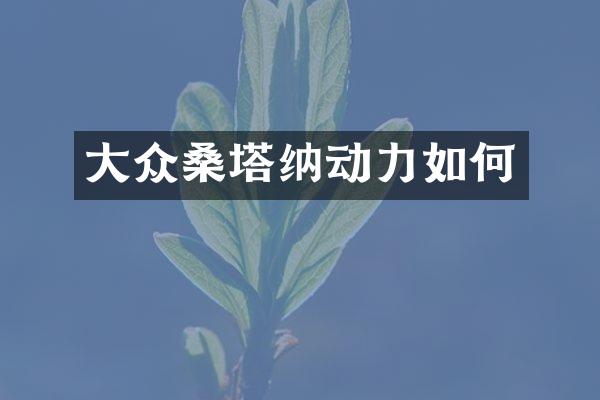 大众桑塔纳动力如何