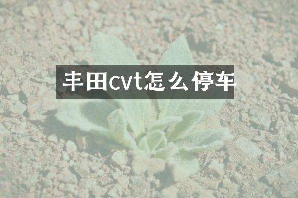 丰田cvt怎么停车