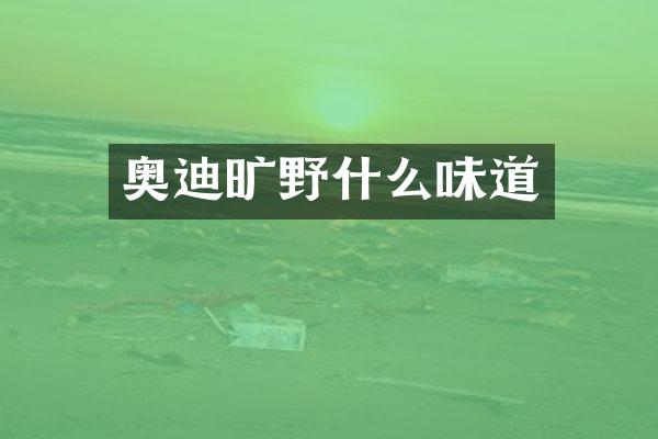 奥迪旷野什么味道